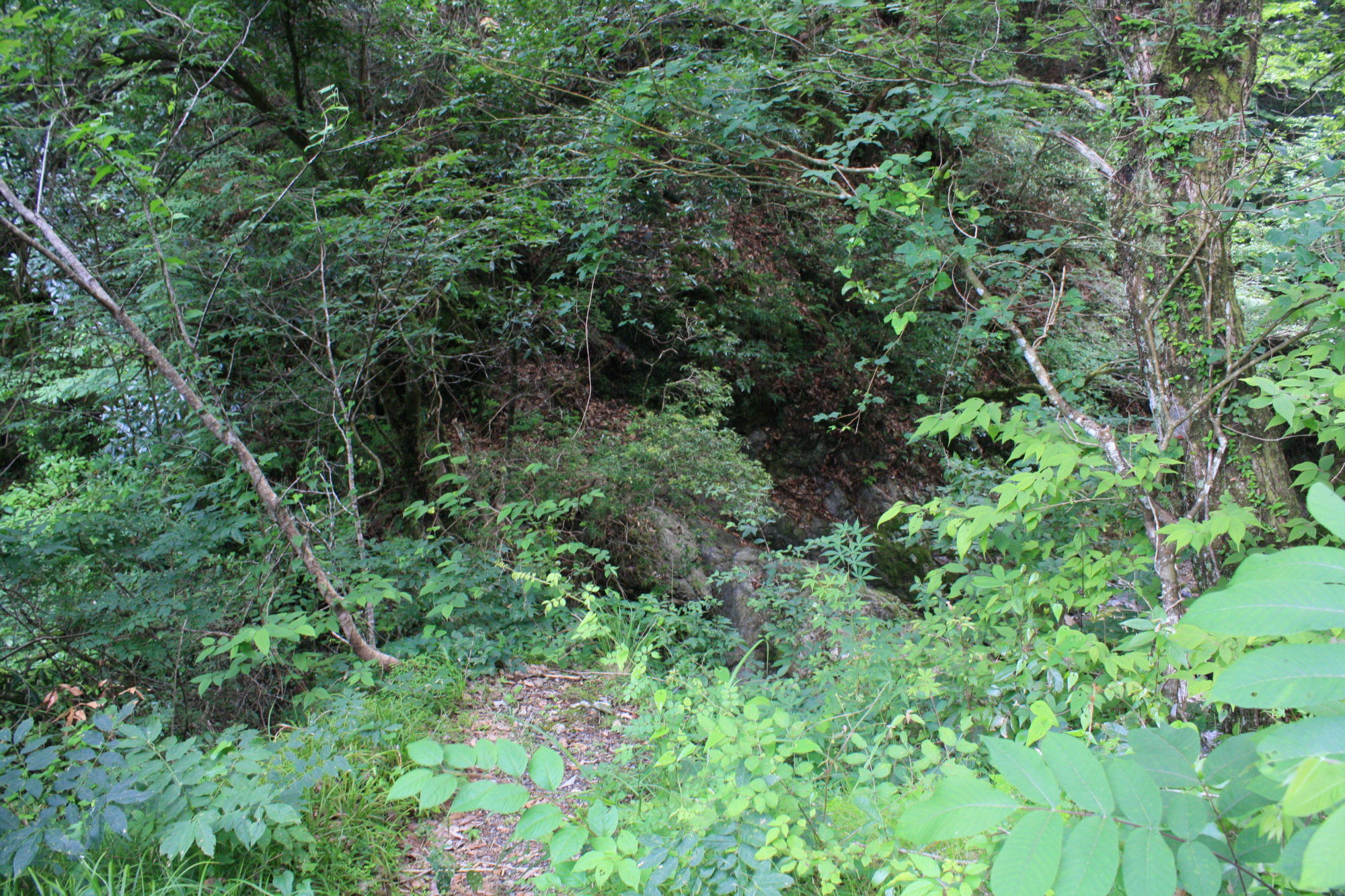 二見滝と紅葉滝を結ぶ山道