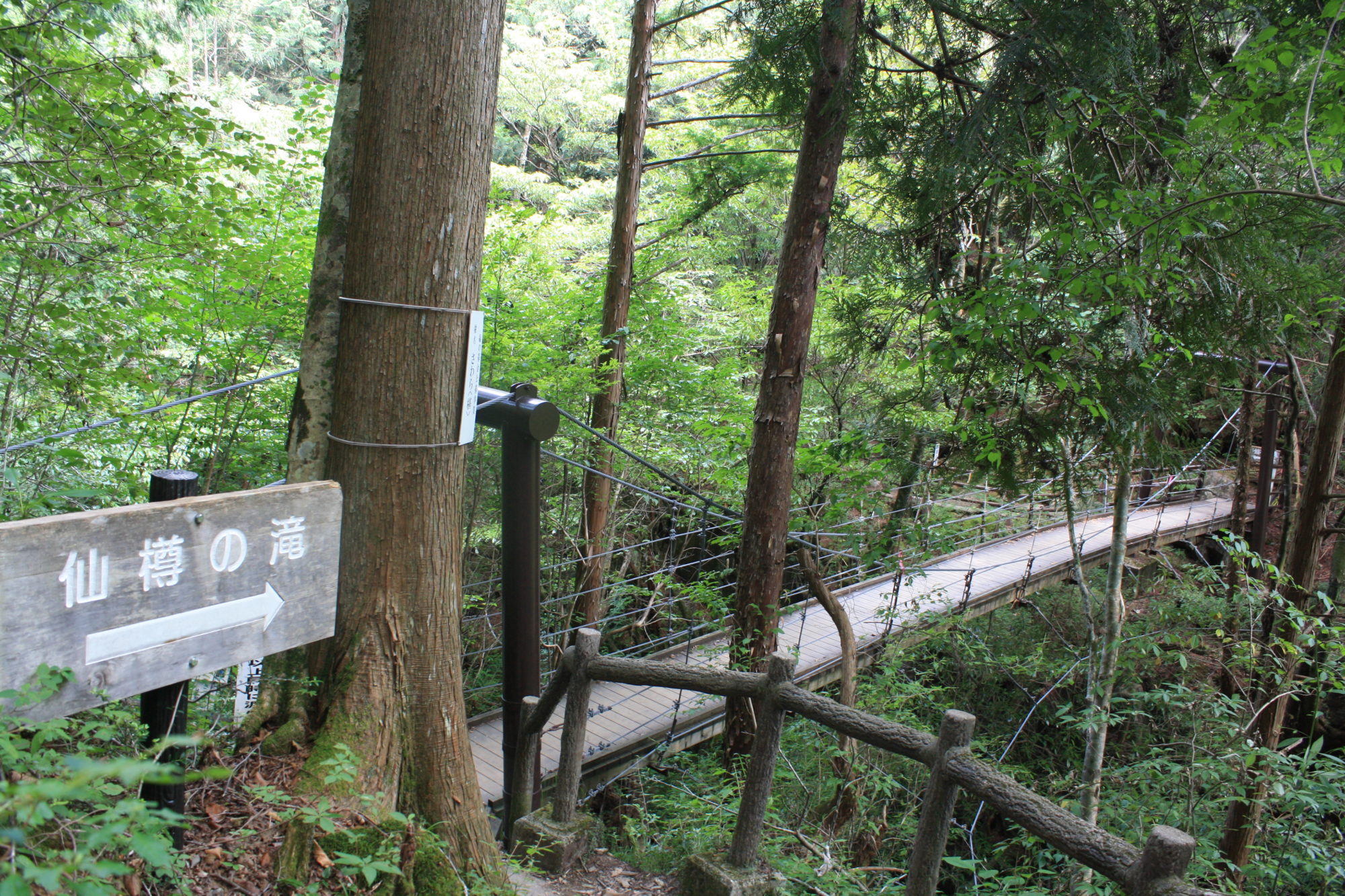 付知峡の吊り橋