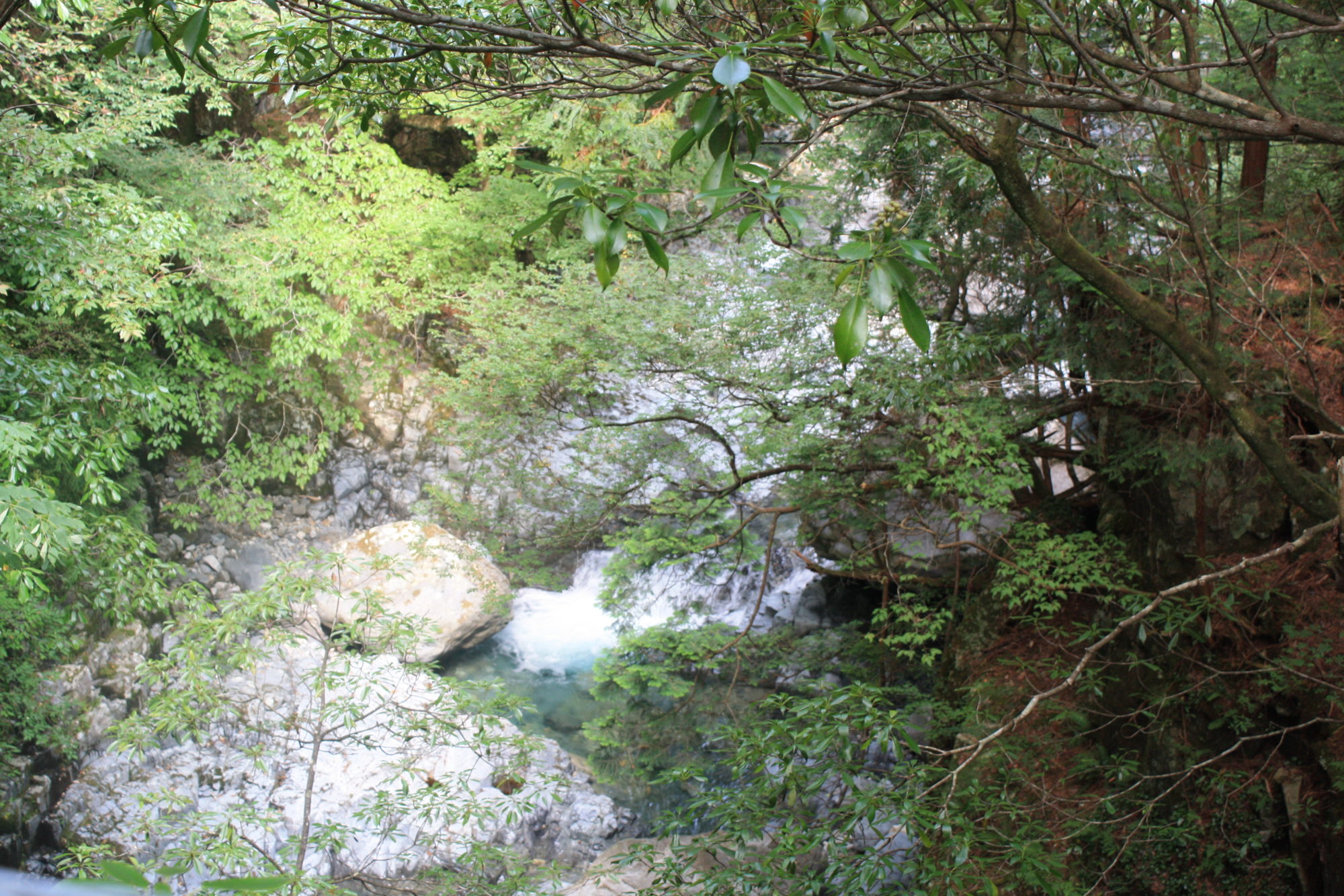 吊り橋から下を見た景色